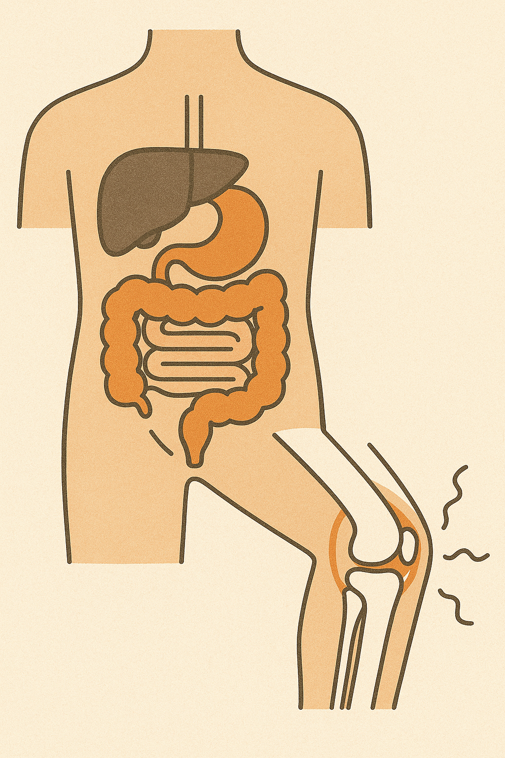 膝の痛み 膝の痛み