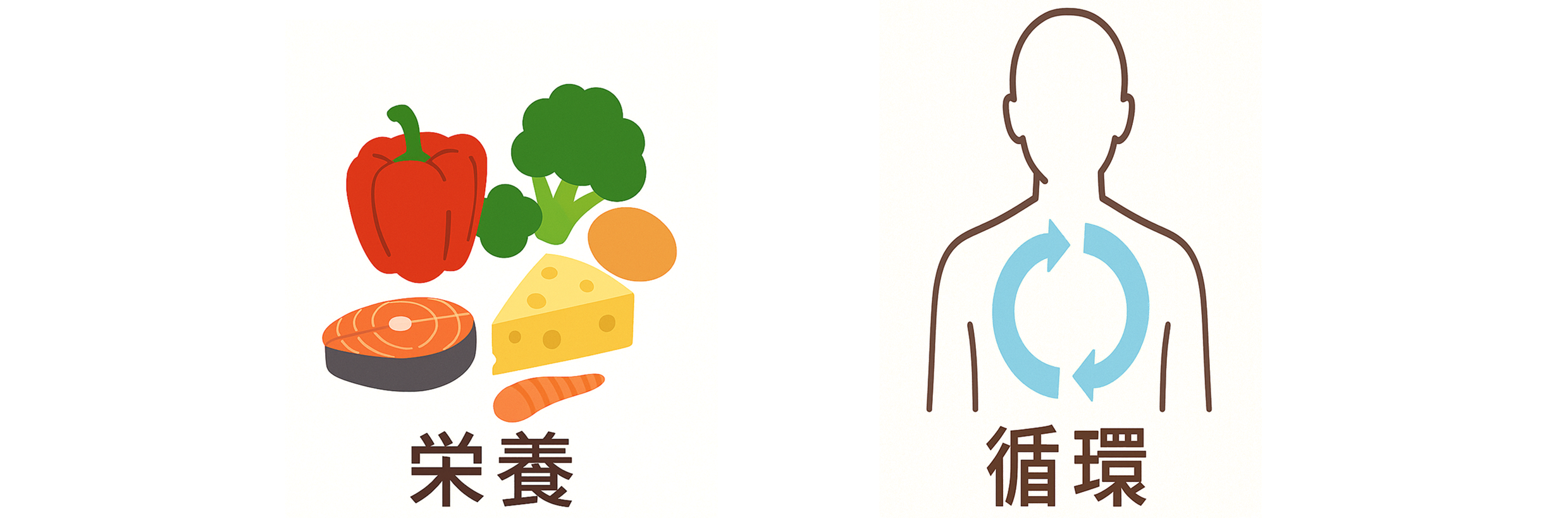 「栄養」と「循環」