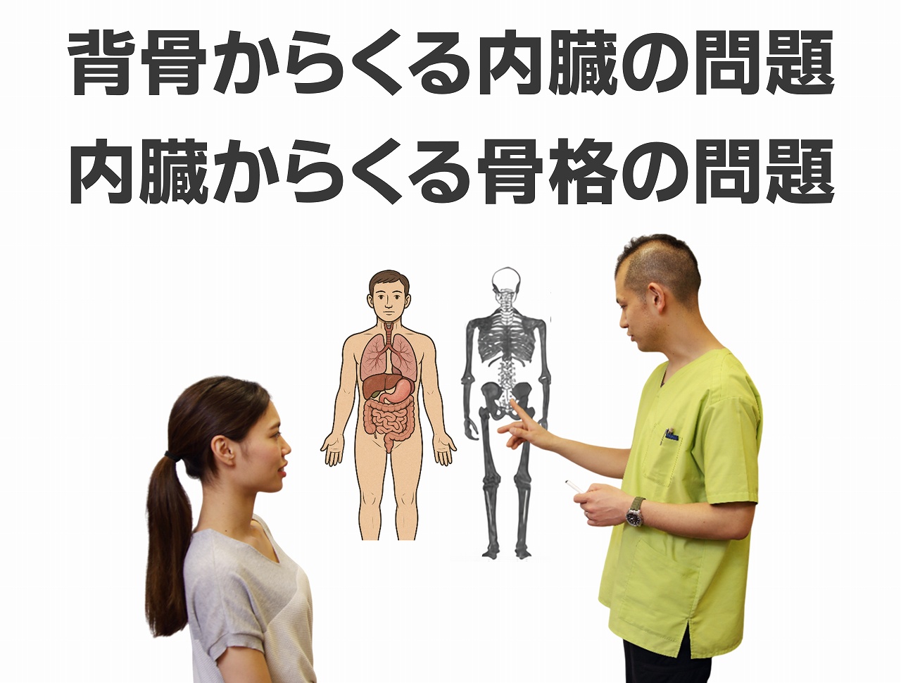背骨 内臓 ジョイ・ハート整体院 背骨 内臓 ジョイ・ハート整体院