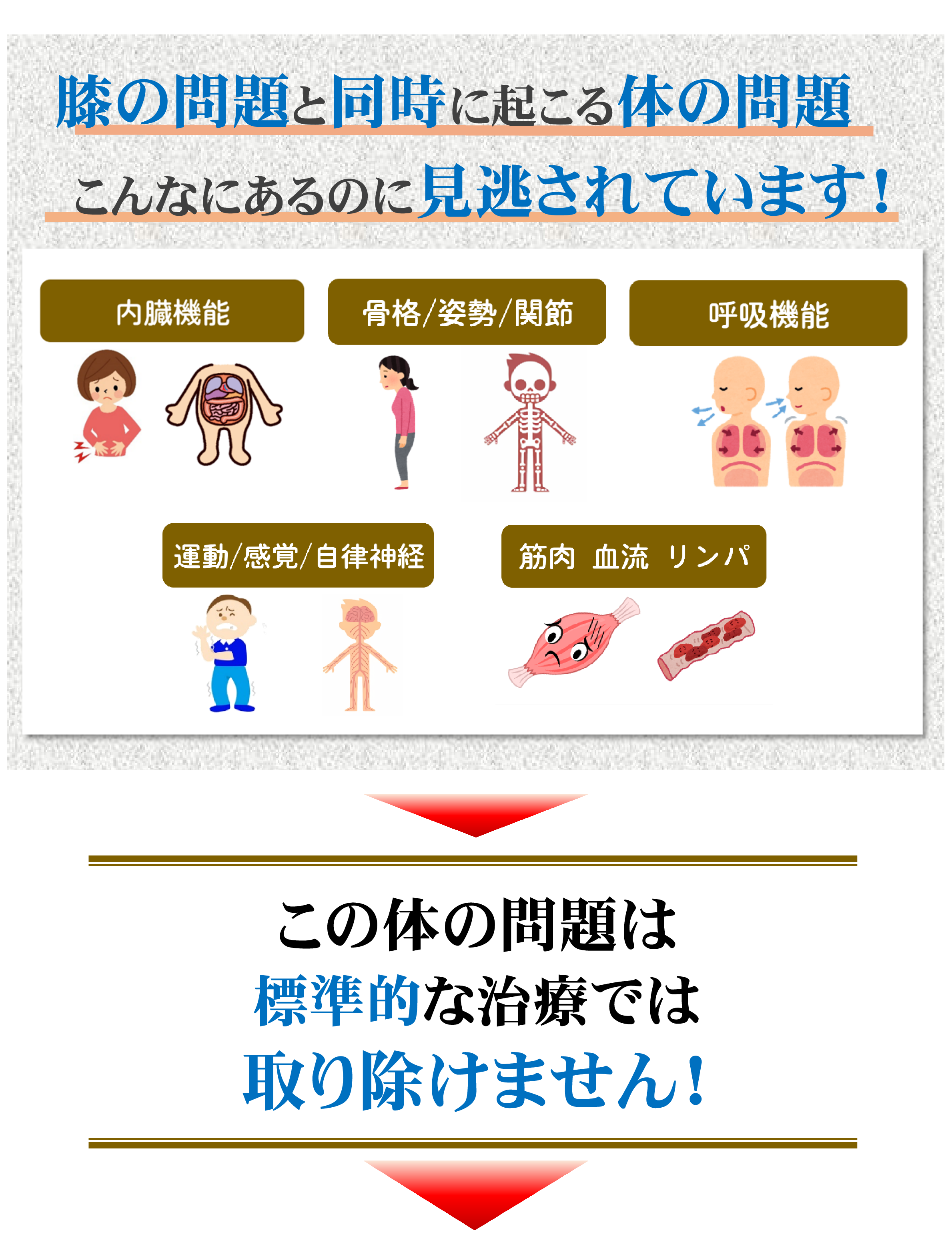 膝の痛み 膝の痛み