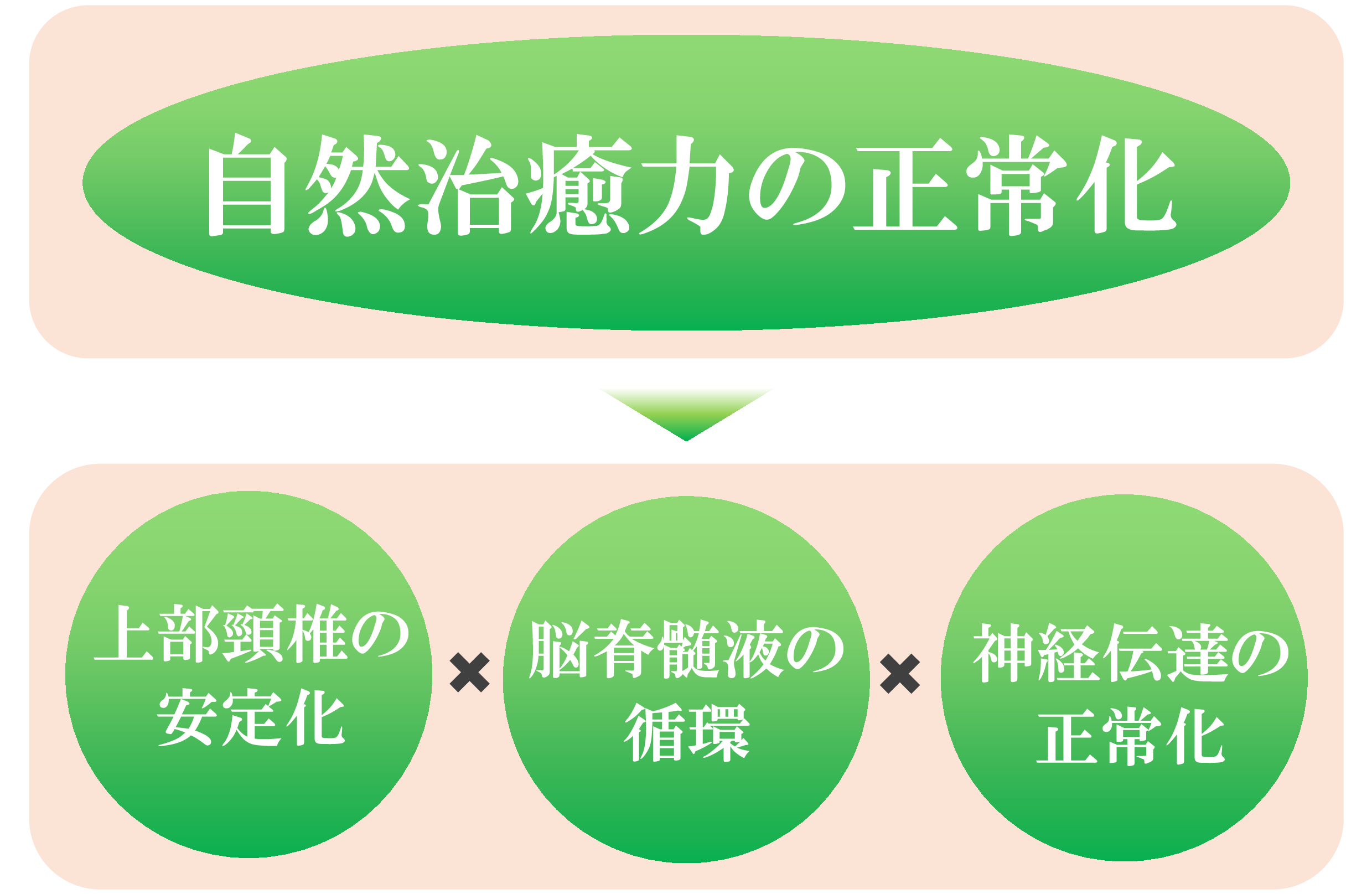 腰椎分離・すべり症 腰椎分離・すべり症