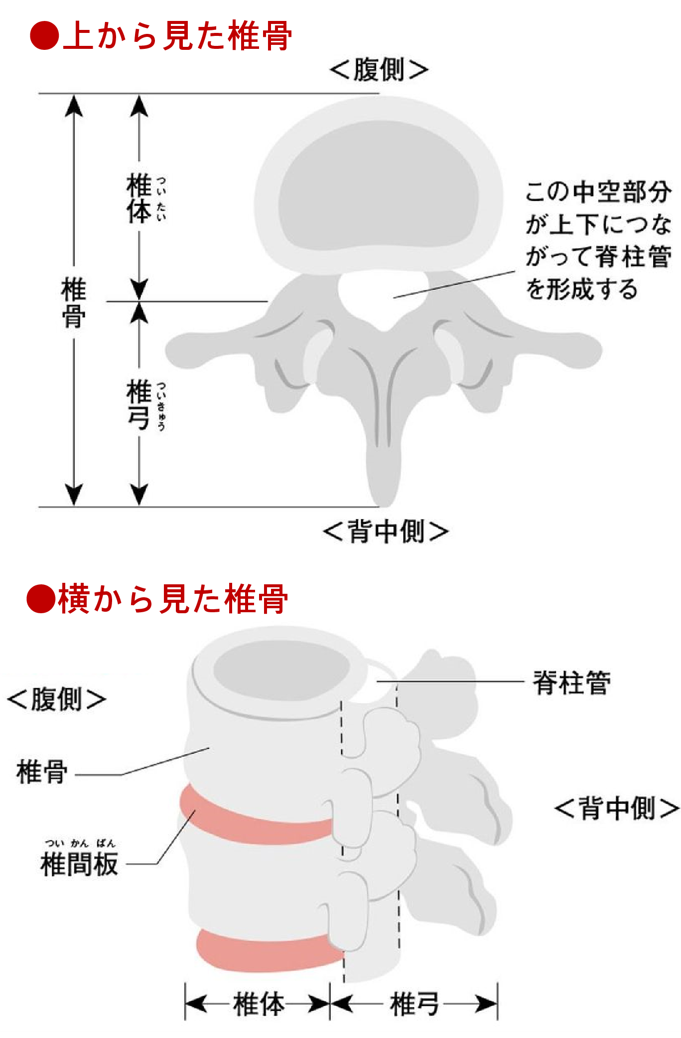 脊柱管狭窄症