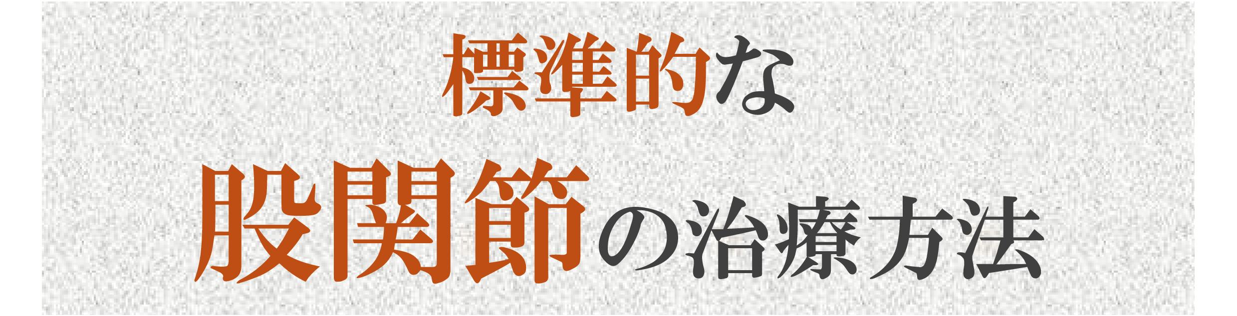 標準的な股関節治療 標準的な股関節治療