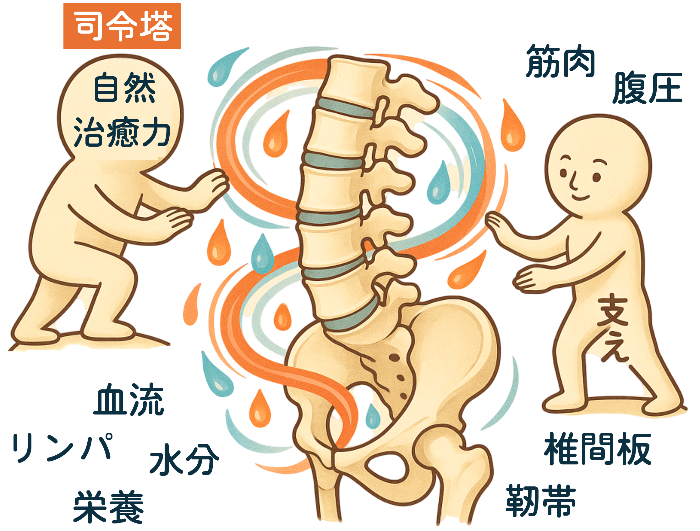 自然治癒力 自然治癒力