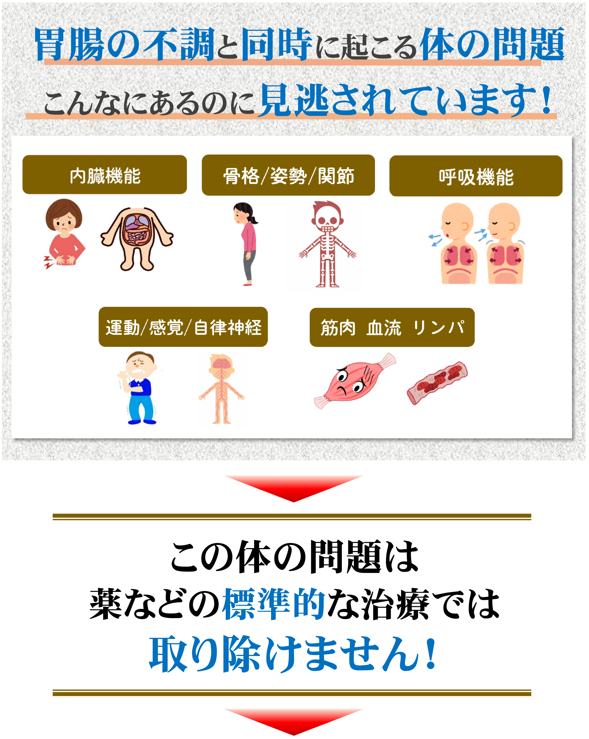 胃腸の不調 胃腸の不調