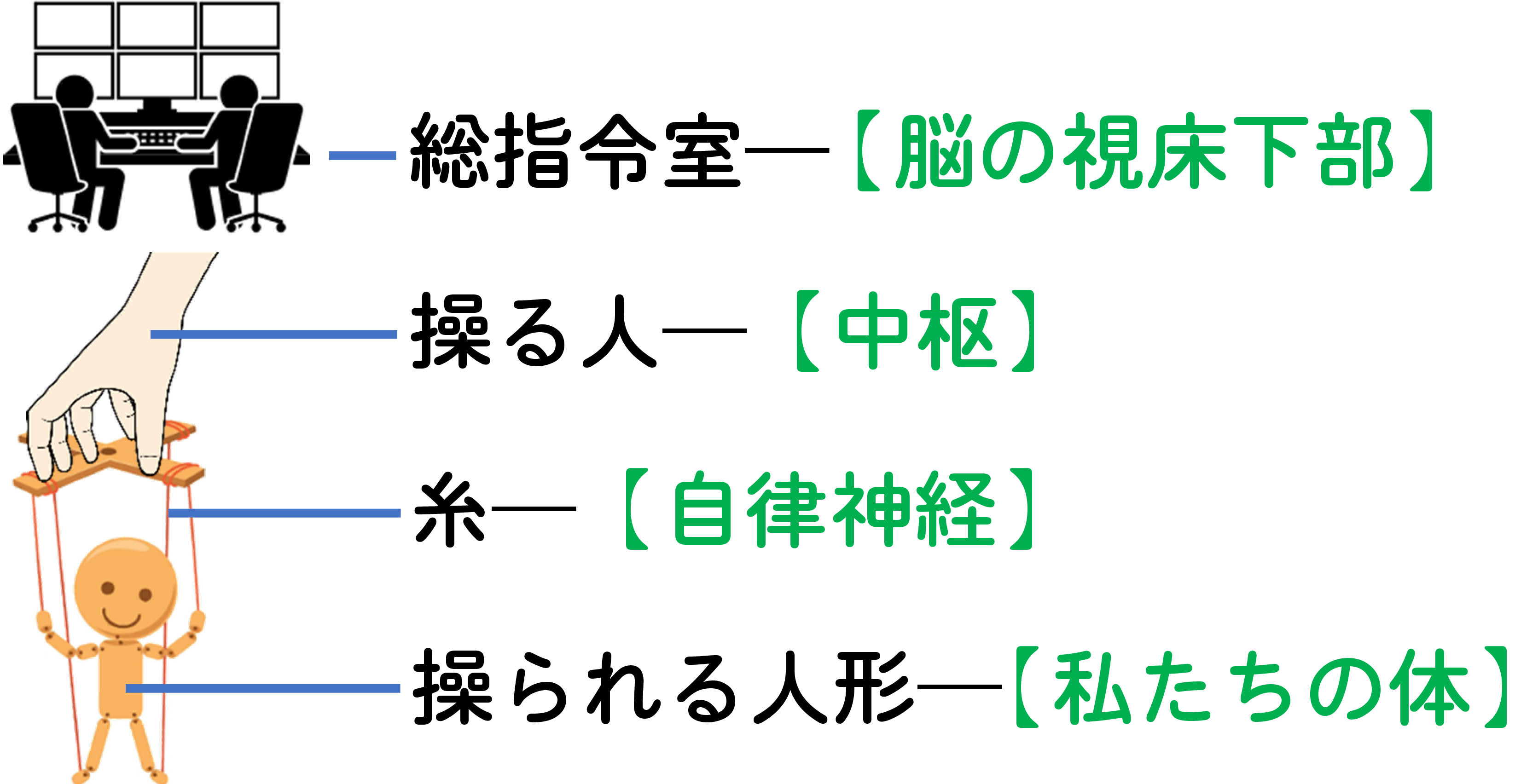 自律神経