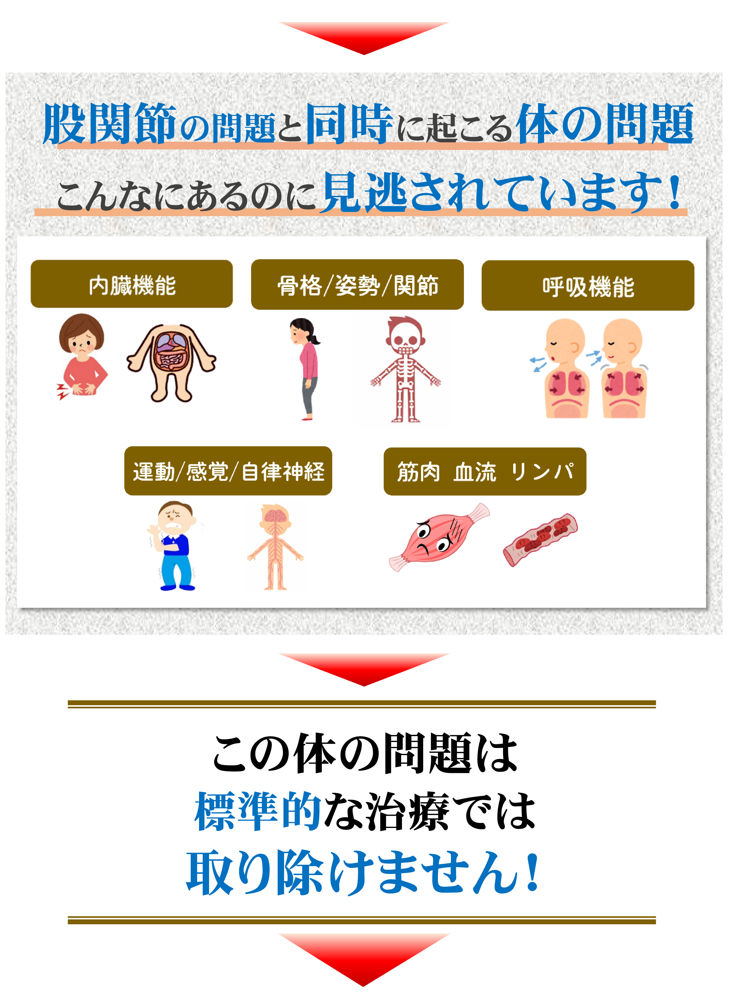 標準的な股関節治療 標準的な股関節治療