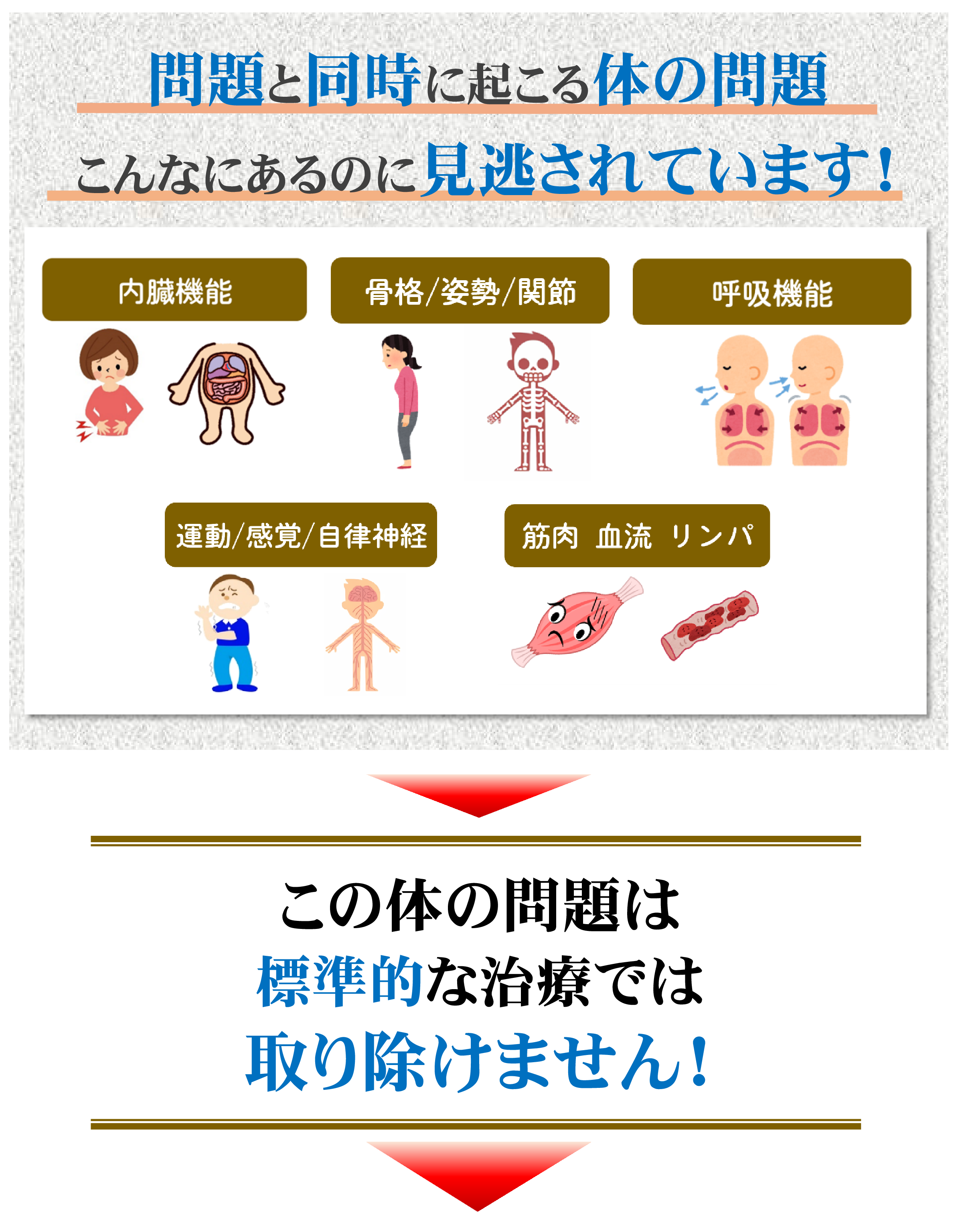 腰椎分離・すべり症 腰椎分離・すべり症